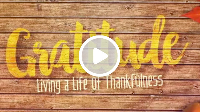 Gratitude Video Splash