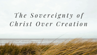 creation
