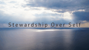 stewardship