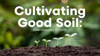 soil