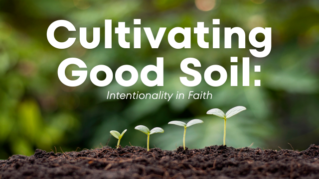 soil