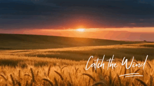 Golden wheat field under a sunset sky with the text "Catch the Wind" overlaid.