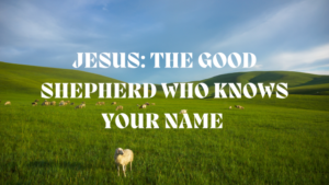 shepherd