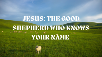 shepherd