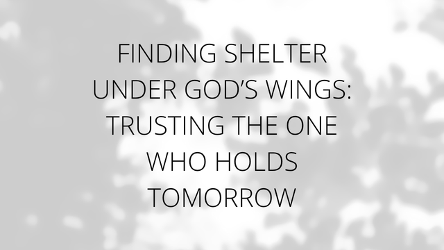 shelter