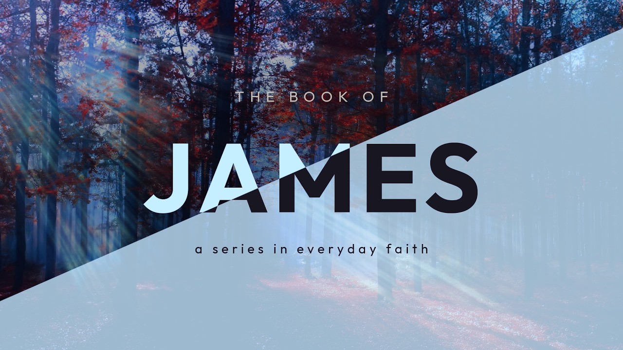 The Book of James: A Series in Everyday Faith at Lakeview Christian Church, Portage Lakes, with sun rays through trees
